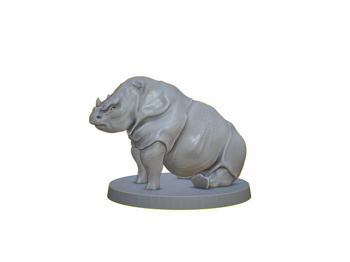 Nashorn Familie – Bild 5