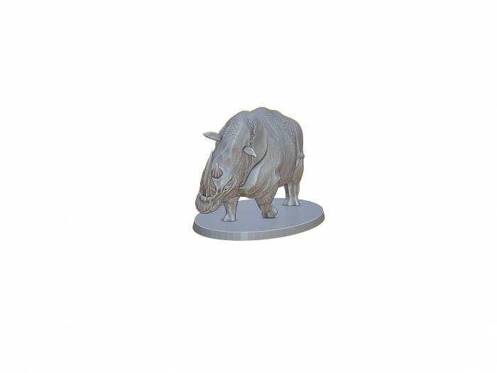 Nashorn Familie – Bild 4