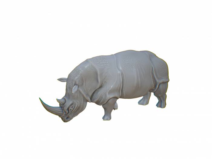 Nashorn Familie – Bild 3