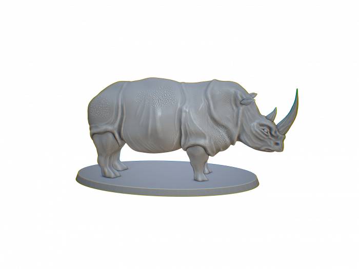 Nashorn Familie – Bild 2