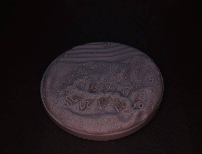 Disease Base 80mm rund